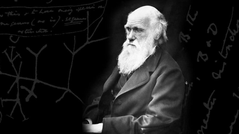 Чарльз Дарвины тухай сонирхолтой баримтууд