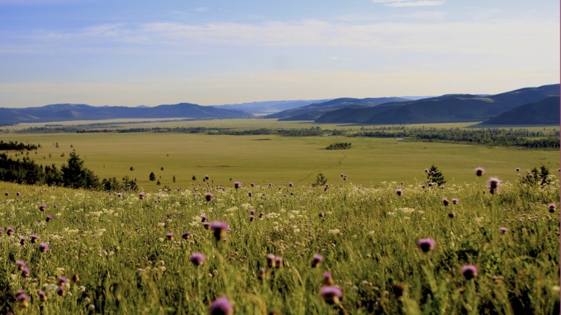 Монголын үзэсгэлэнт газрууд - Онон Балжийн байгалийн цогцолборт газар
